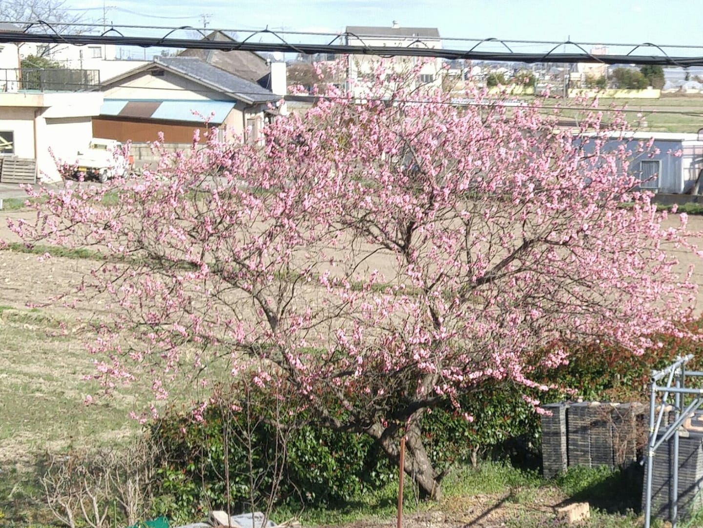 活動報告写真